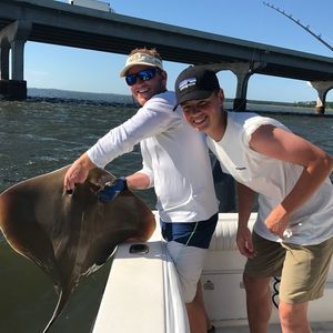 Meet your Posher, Connor